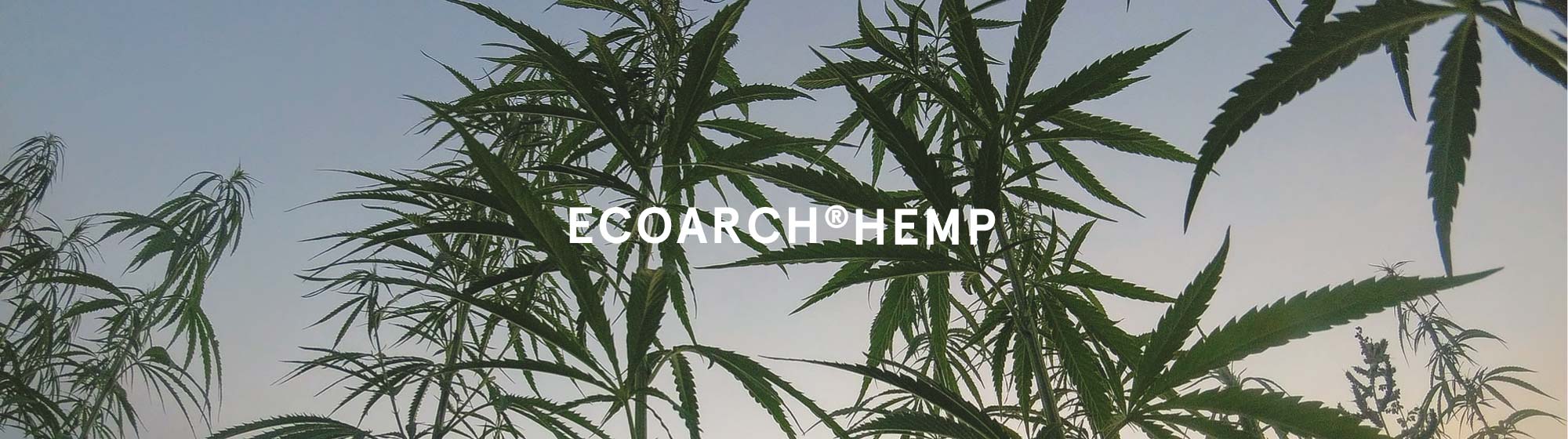 ECOARCHⓇHEMP