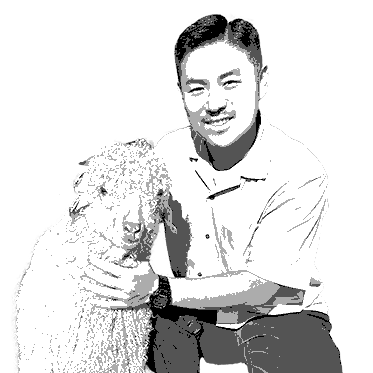 取り組み