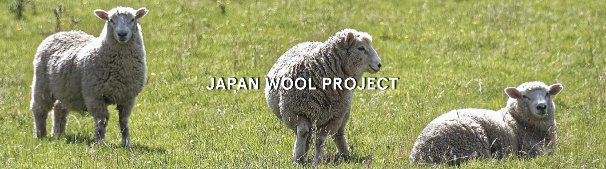 JAPAN WOOL PROJECT