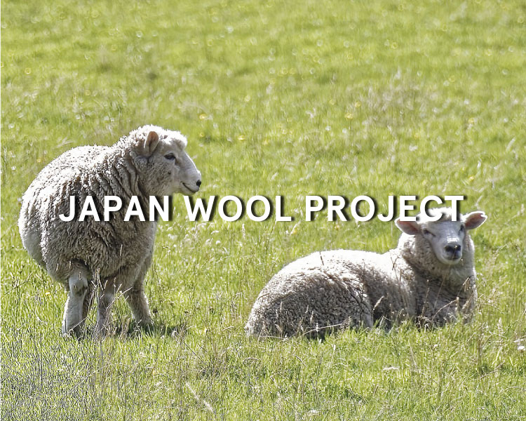 JAPAN WOOL PROJECT | スタイレム