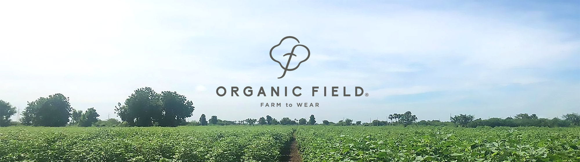 ORGANIC FIELD