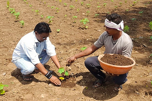 Reports from Farm