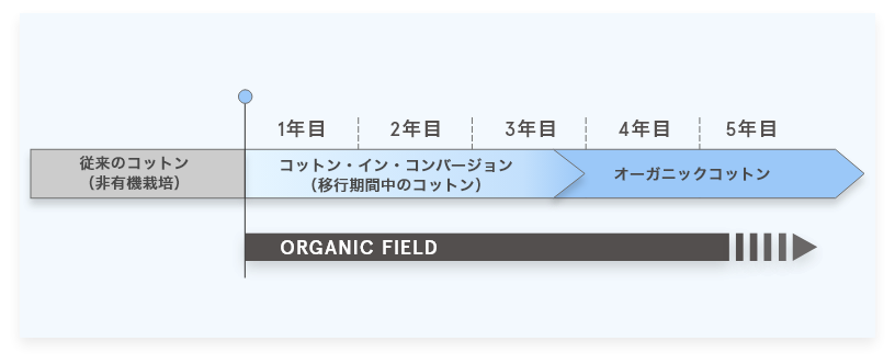 オーガニックコットン