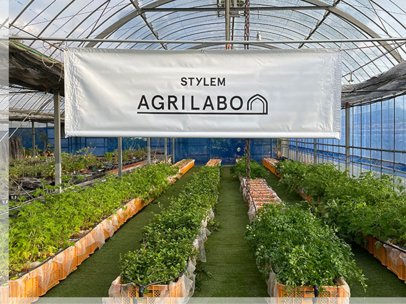 STYLEM AGRILABO
