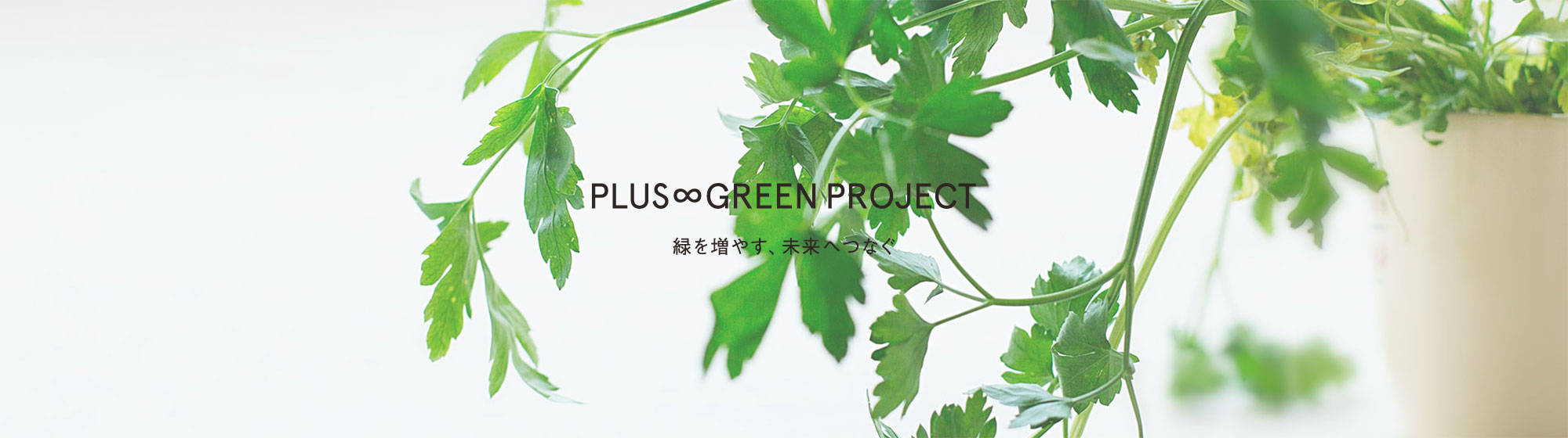 PLUS GREEN PROJECT