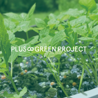 PLUS∞GREEN PROJECT