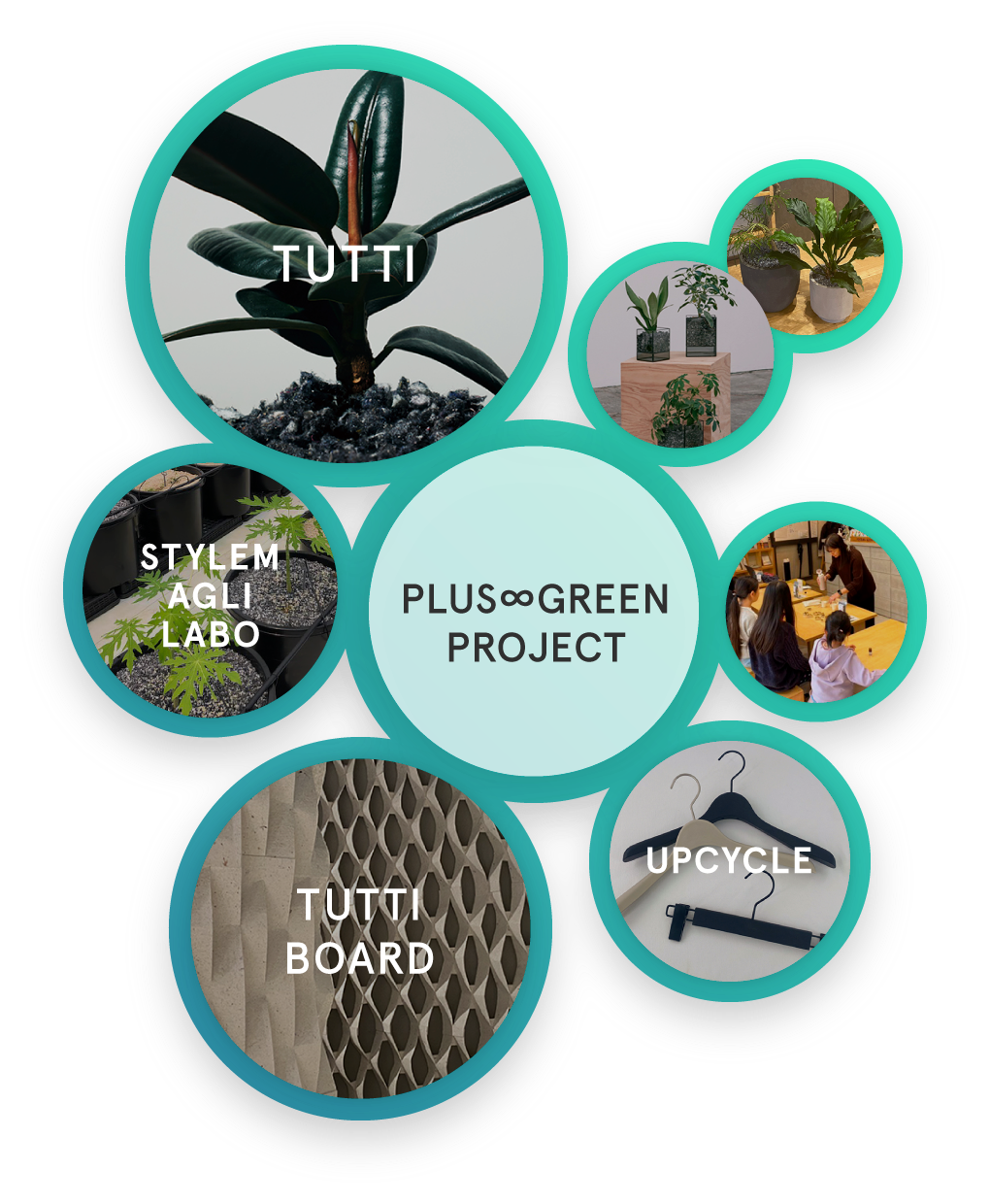 PLUS GREEN PROJECT