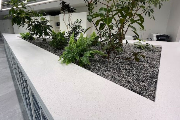 PLUS GREEN PROJECT