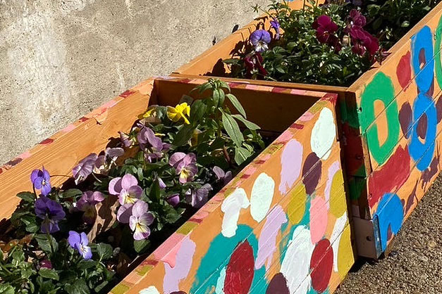PLUS GREEN PROJECT