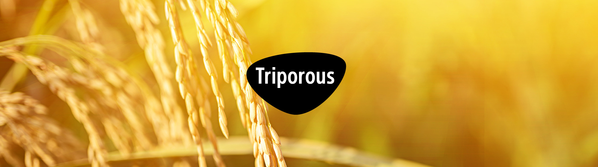 triporous