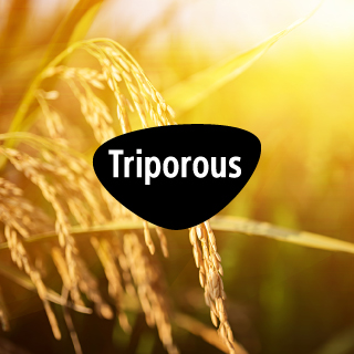 Triporous